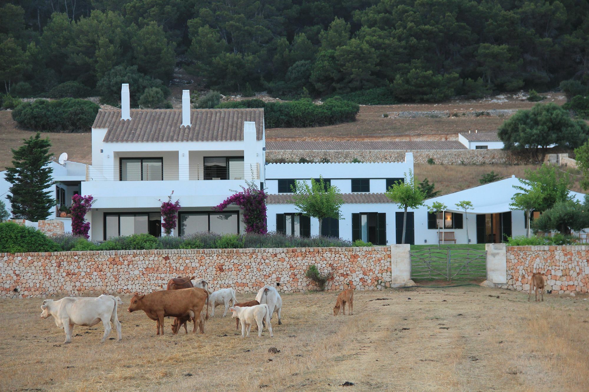Rusticae Agroturismo Finca Atalis Santo Tomás Eksteriør bilde