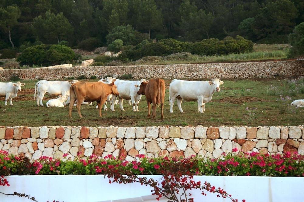Rusticae Agroturismo Finca Atalis Santo Tomás Eksteriør bilde